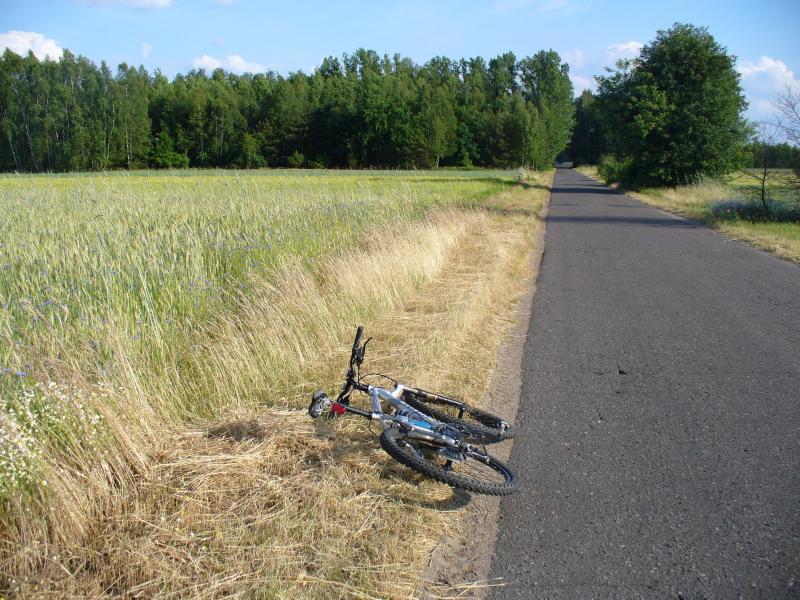 23814.jpg