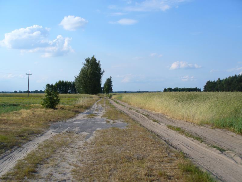 Podłowickie pola i łąki