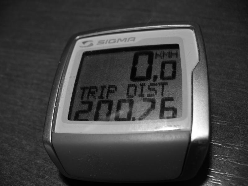 23842.jpg