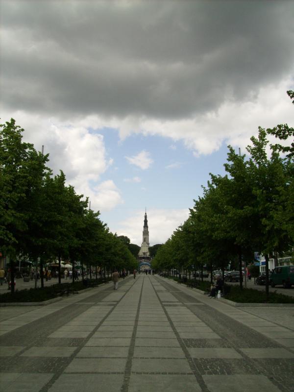 23874.jpg