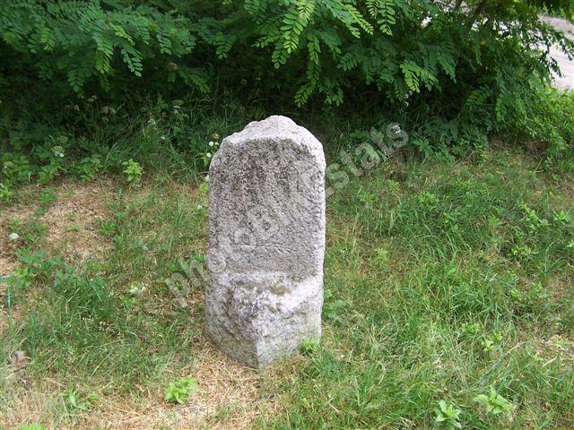 23879.jpg