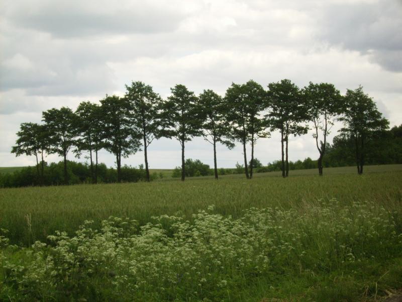 23895.jpg