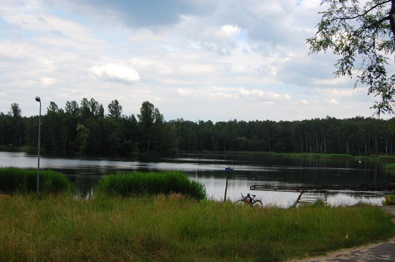 park, kazimierz, sosnowiec