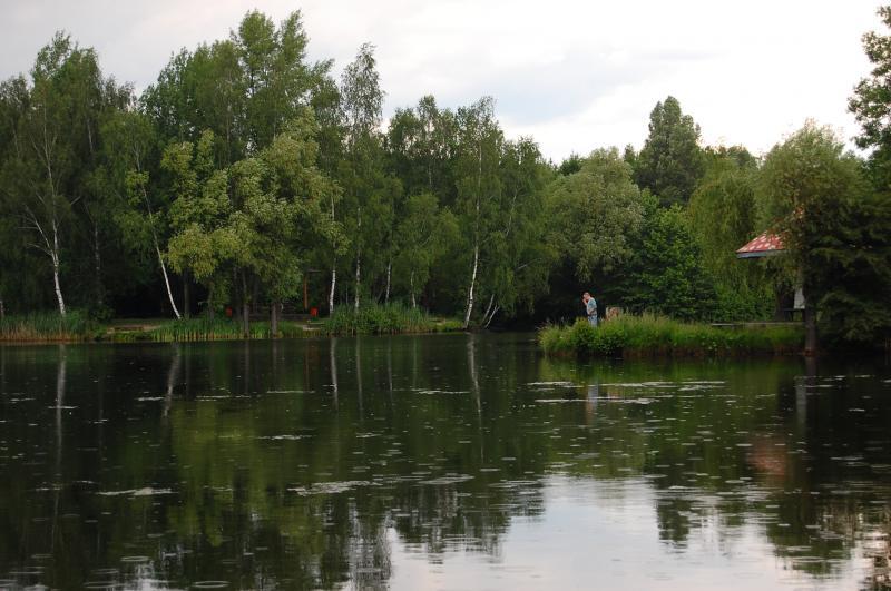 park, kazimierz, sosnowiec