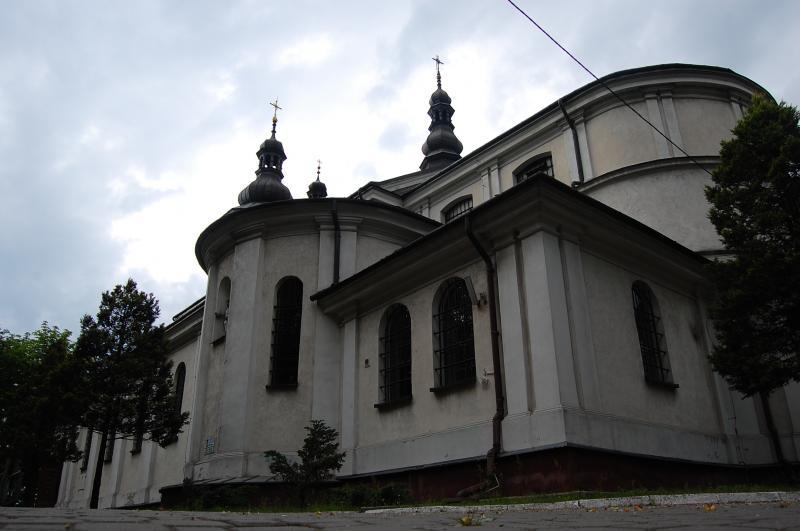 dąbrowa górnicza, gołonóg