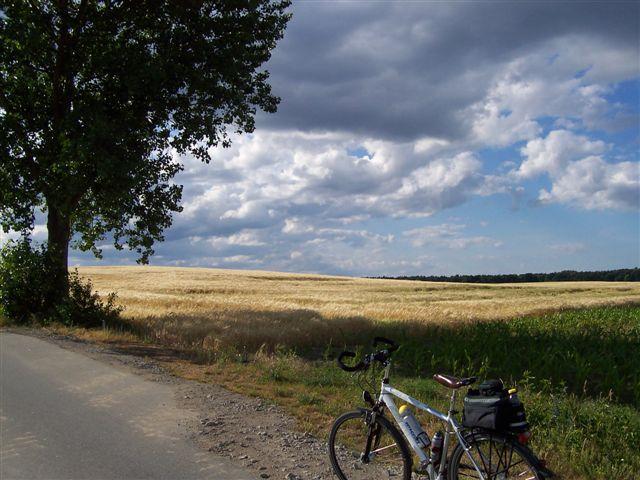 24188.jpg