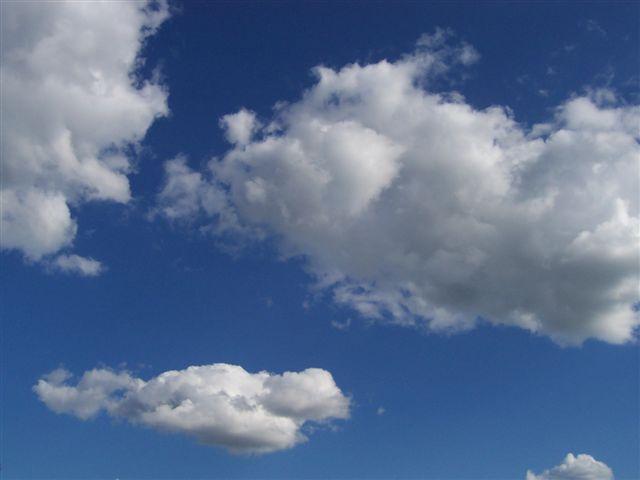 24189.jpg