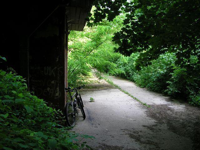 24268.jpg
