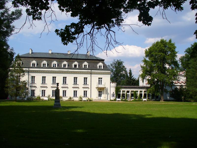 Pałac w Radziejowicach