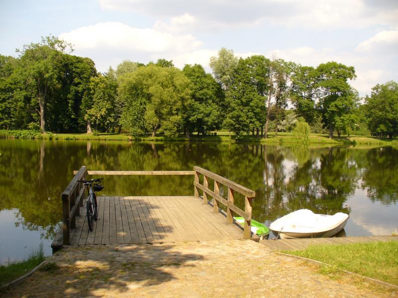 Staw w Radziejowicach