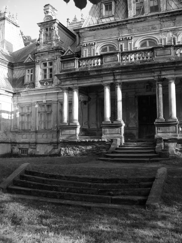 Pałac Sobańskich w Guzowie. Front