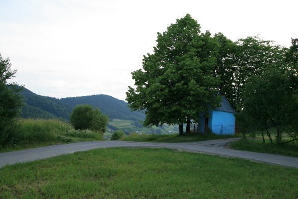 24433.jpg