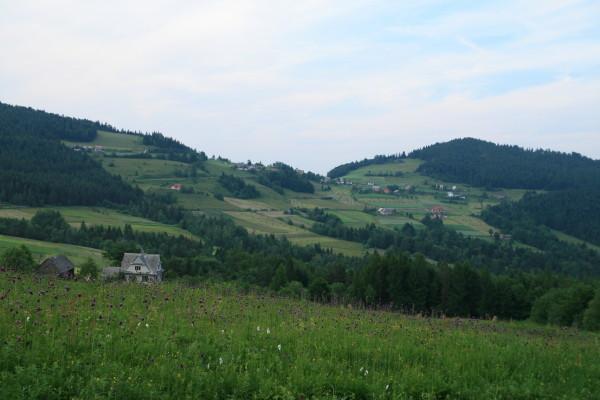 24435.jpg