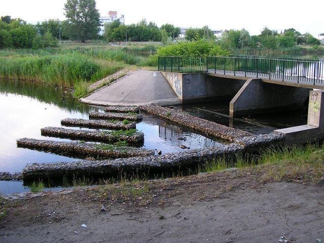 24507.jpg