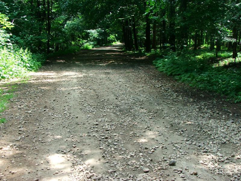 24749.jpg