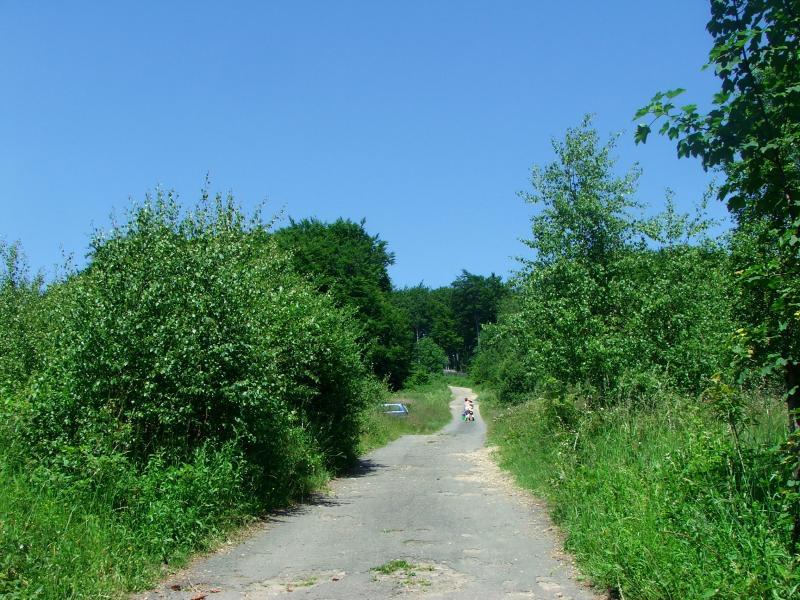 24756.jpg