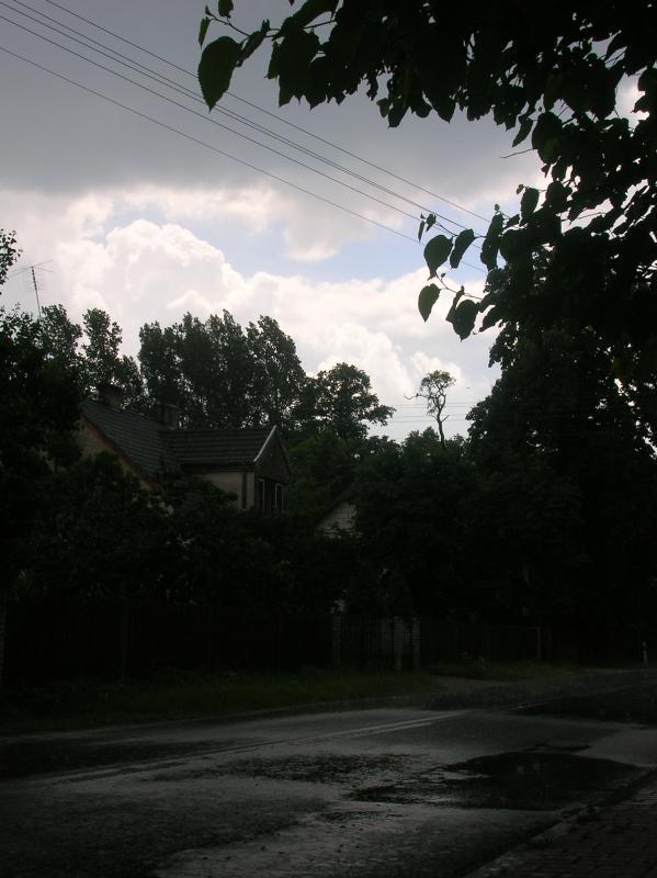 24906.jpg