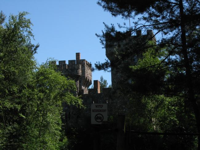 24955.jpg