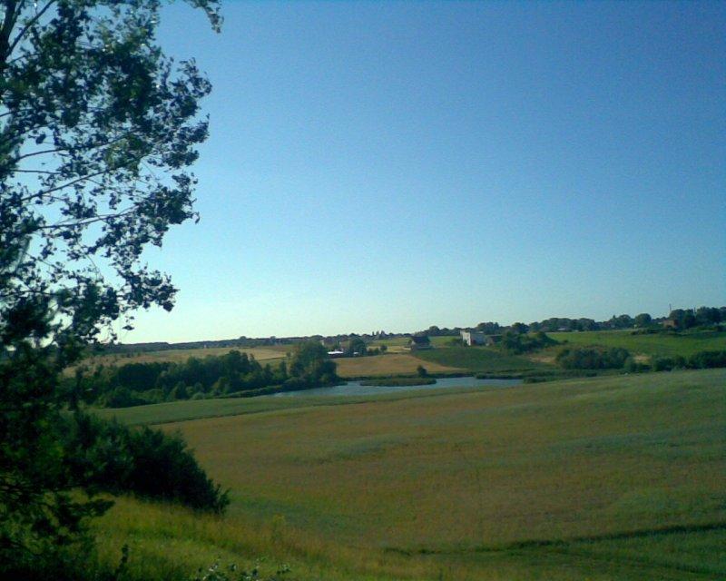 widok, wiatraki, dróżka