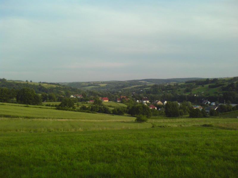 25062.jpg