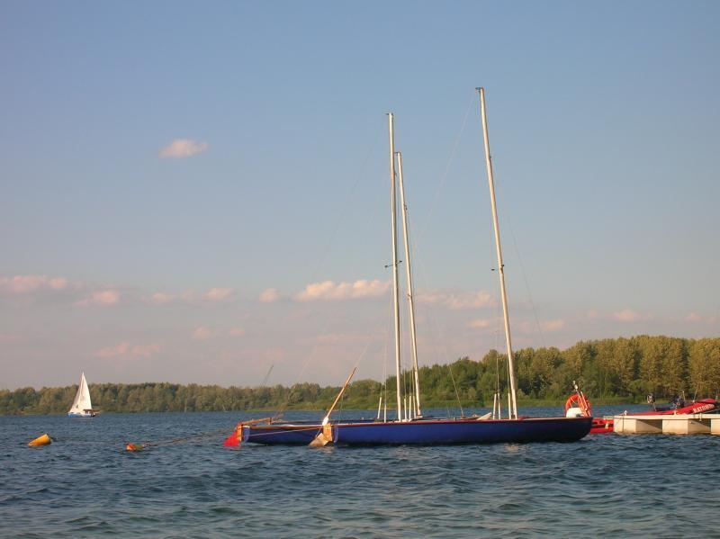 25493.jpg