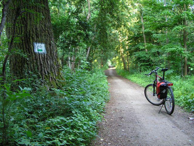 25506.jpg