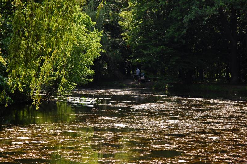 park, dąbrowa górnicza, park zielona