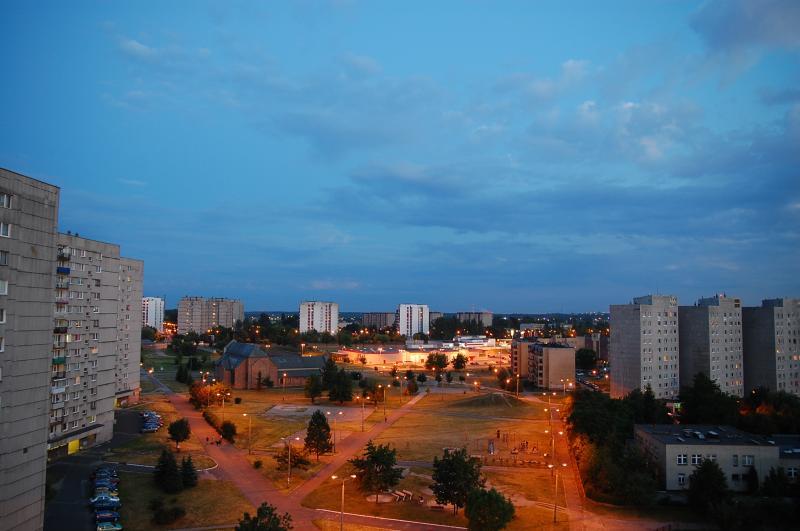 dabrowa górnicza, gołonóg