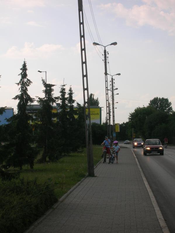 25816.jpg