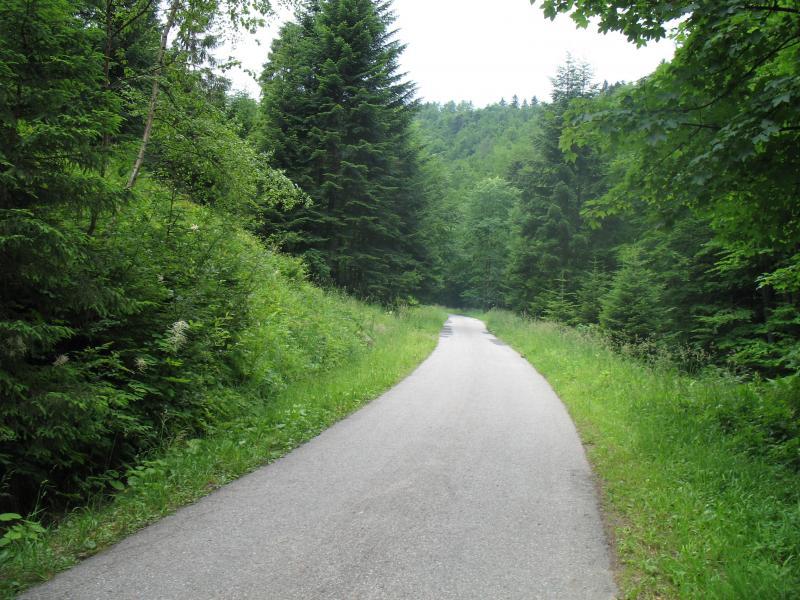 25858.jpg