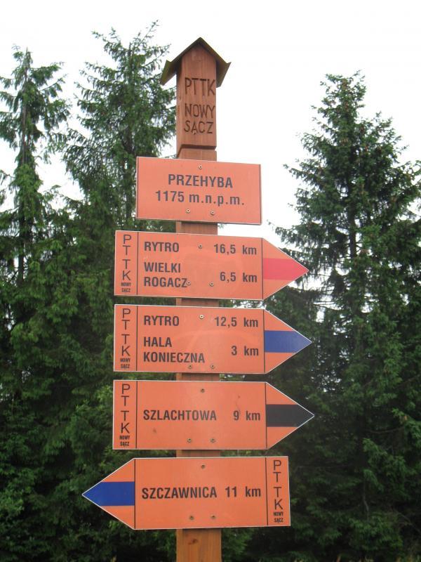 25875.jpg