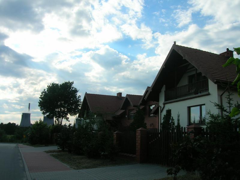 25961.jpg