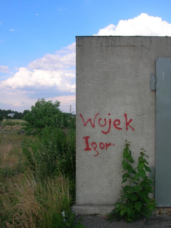 25963.jpg