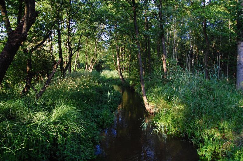 błedów, rzeka, biała przemsza