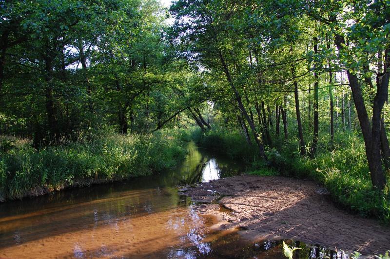 błedów, rzeka, biała przemsza