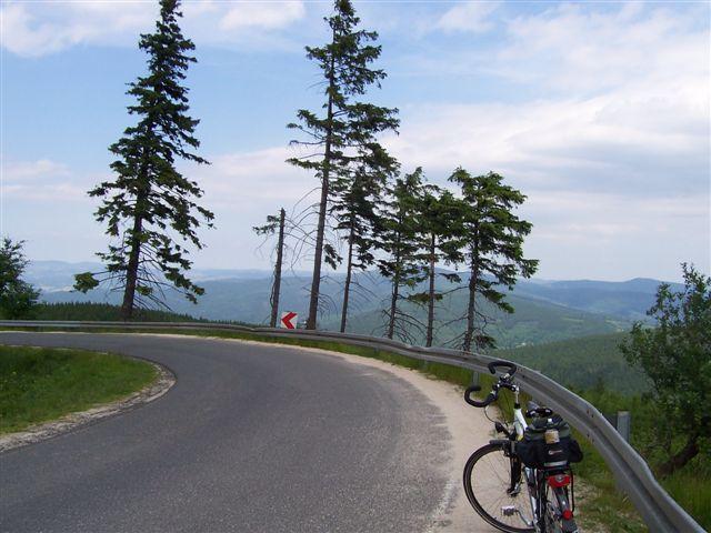 26155.jpg