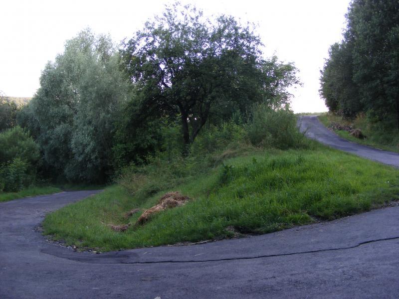 26308.jpg