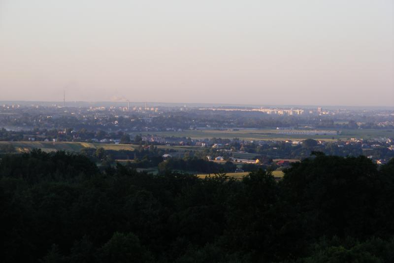 26311.jpg