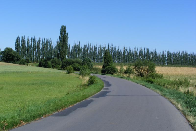26383.jpg