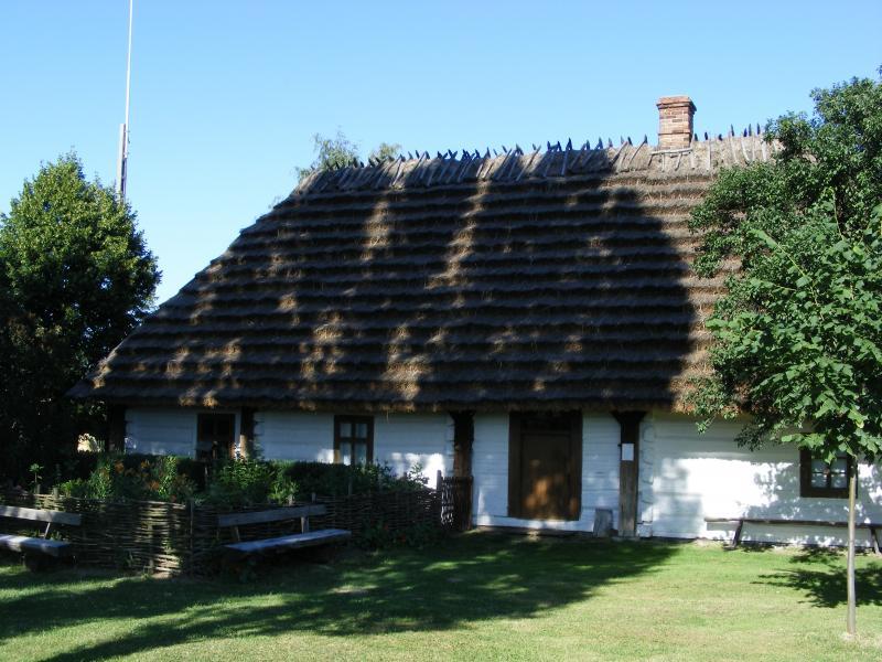 26385.jpg