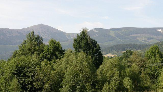 26425.jpg