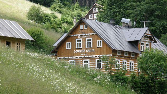 26445.jpg
