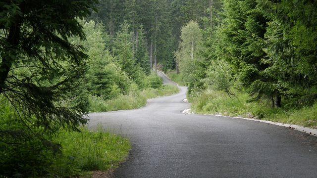26450.jpg