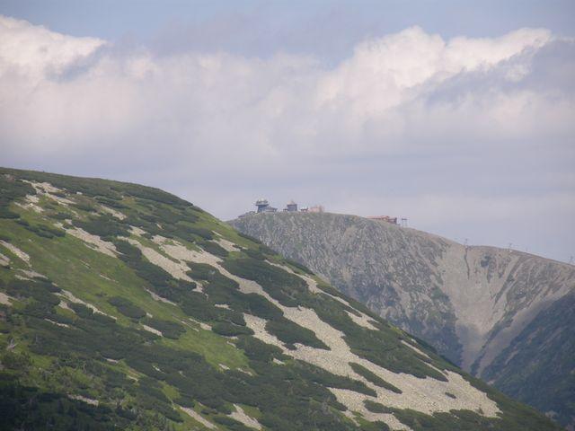 26455.jpg
