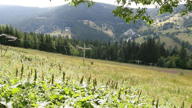 26459.jpg