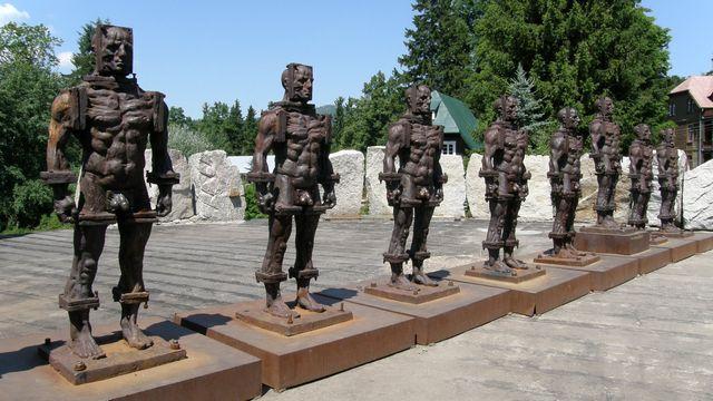 26521.jpg