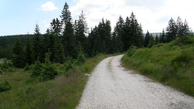 26527.jpg