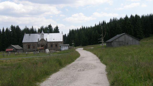 26529.jpg