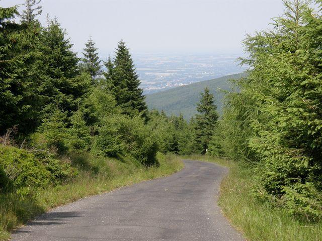 26542.jpg