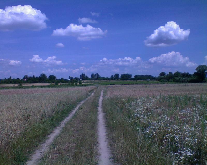 26896.jpg